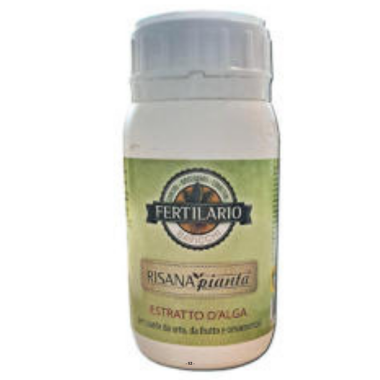 Risanapianta 100g