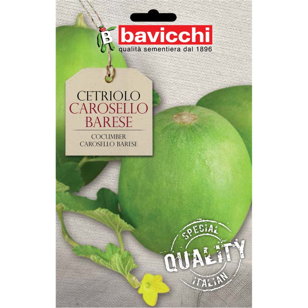 Cetriolo