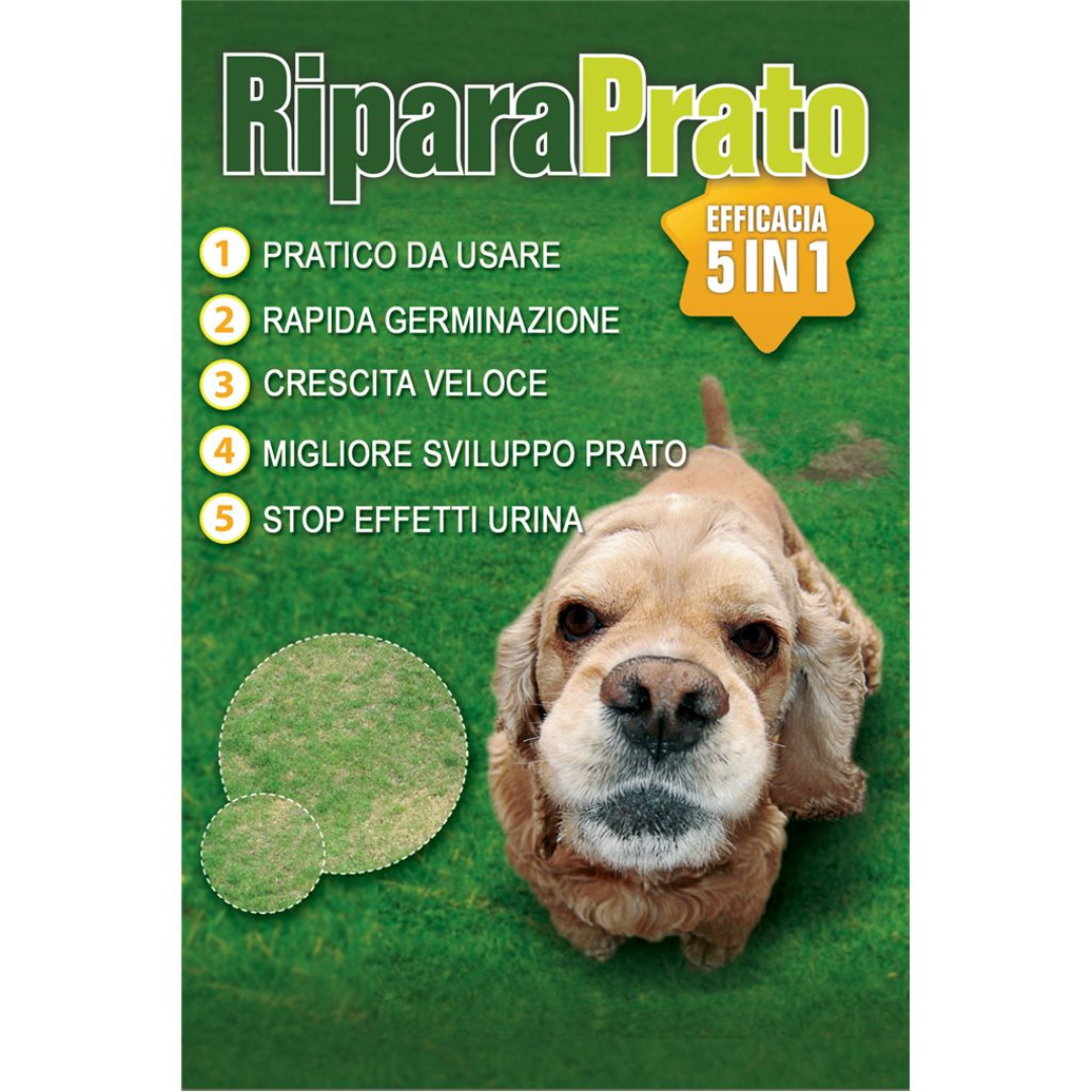 Riparaprato