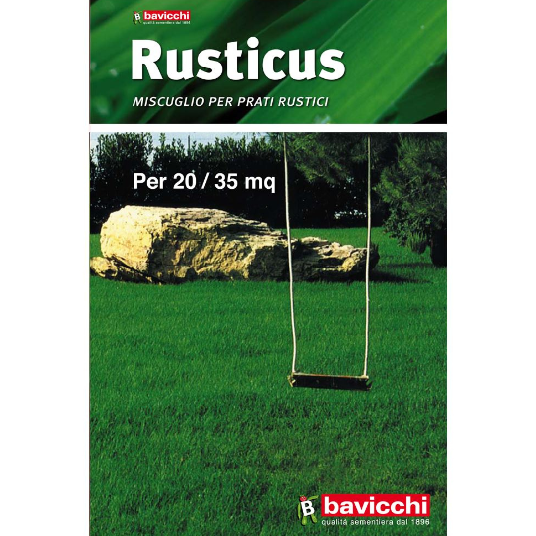 Rusticus