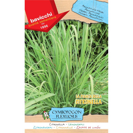 Citronella