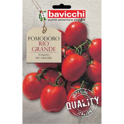 Pomodoro